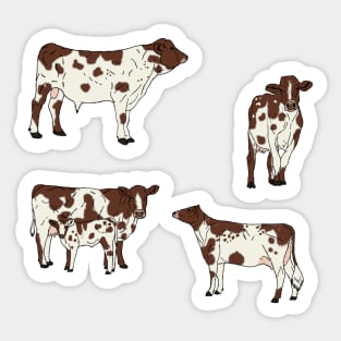 Ayrshire Cows Pattern Transparent Sticker